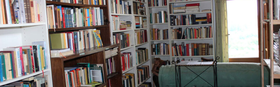 15-biblio-fensterblick