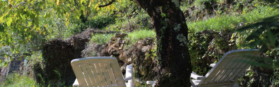 27-liegen-unterm-kirschbaum