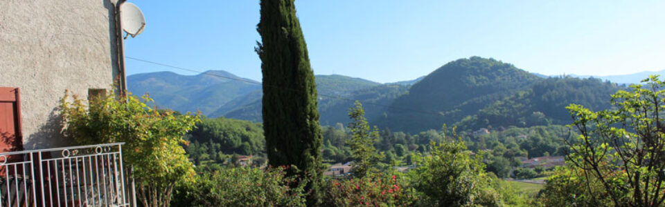 51-piscine-blick-zypresse